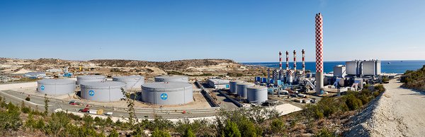 Vasilikos Plant Cyprus 158.jpg