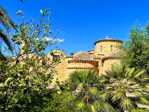 14.5 Χρυσαλινιώτισσα2.jpg