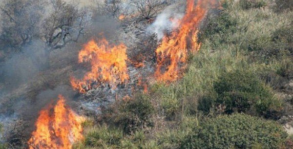 30.7. ΓΙΑΝΝΑΡΑΣ 3.jpg