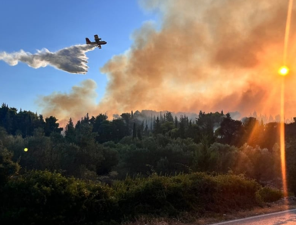 Στιγμιότυπο οθόνης 2025-08-13 150956.png