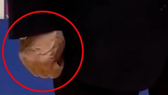 Στιγμιότυπο οθόνης 2025-11-11 114002.png