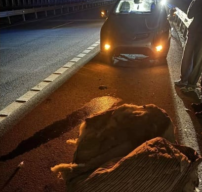 Στιγμιότυπο οθόνης 2025-11-12 090310.png