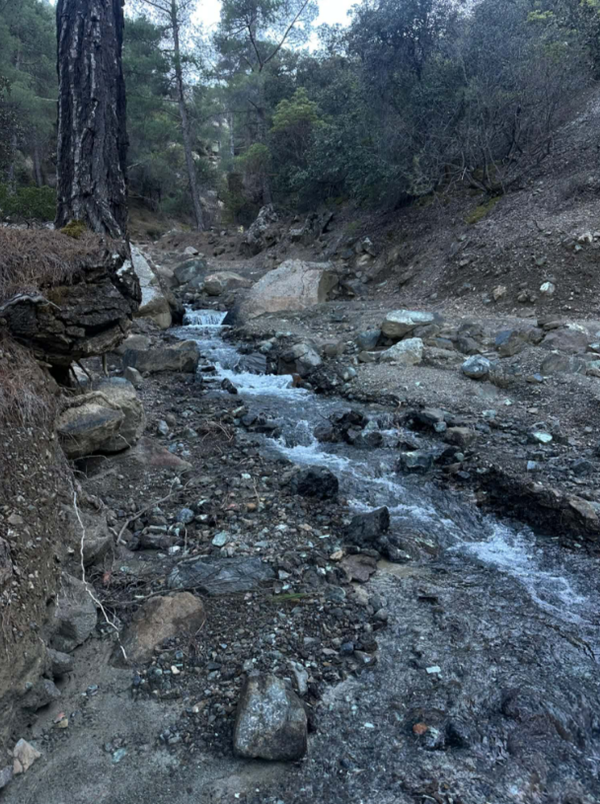 Στιγμιότυπο οθόνης 2026-04-14 115710.png