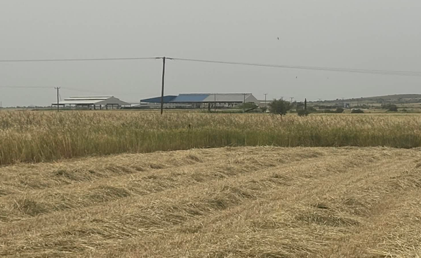 Στιγμιότυπο οθόνης 2026-04-15 121116.png