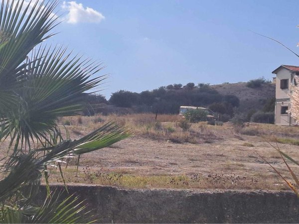 WhatsApp Image 2023-11-29 at 12.56.56.jpeg