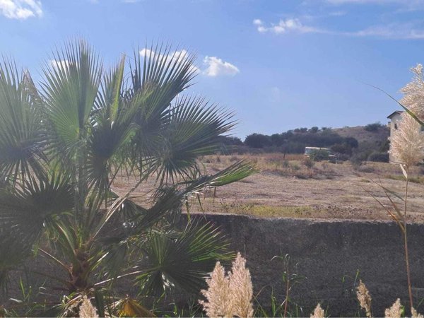 WhatsApp Image 2023-11-29 at 12.57.01.jpeg