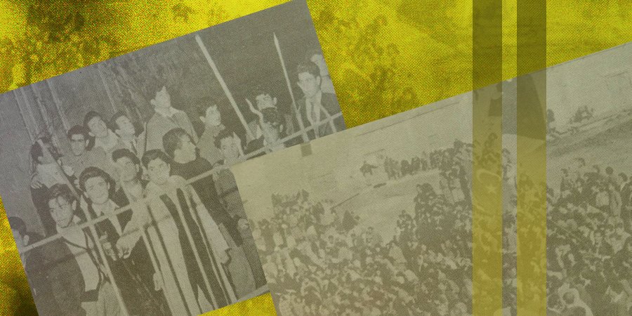 py lonillustr 202207.jpg